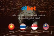 Giới thiệu một vài thông tin cơ bản về D9bet