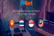 Giới thiệu về nhà cái D9Bet